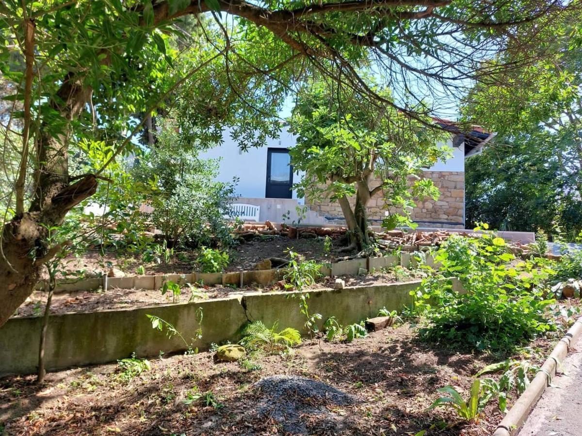 Getxo Garden Houses - The Suite المظهر الخارجي الصورة